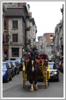 Horse in Carriage in Old Montreal