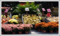 Flower and vegetable market at Montreal's Mont-Royal metro station.