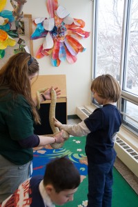 At Kyle's 8th Birthday Party at Trailside Nature Center in Watchung Reservation