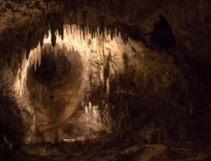 In Carlsbad Caverns