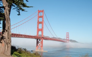 Golden Gate Bridge from in the Presidio in San Francisco